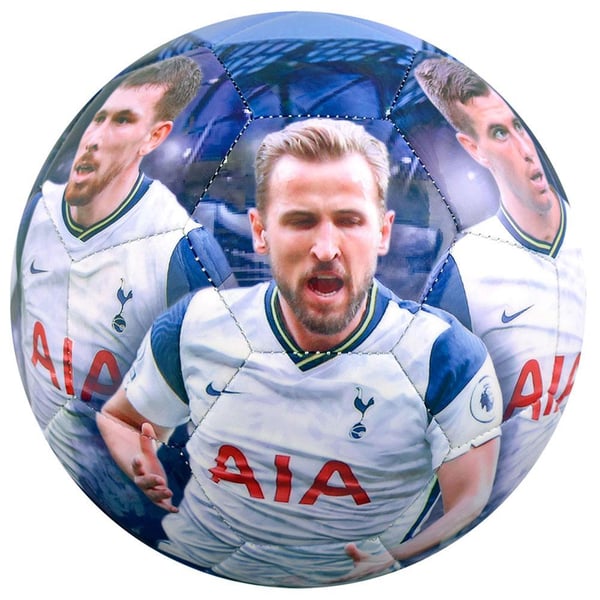 Tottenham Hotspur FC Player Photograph Football
