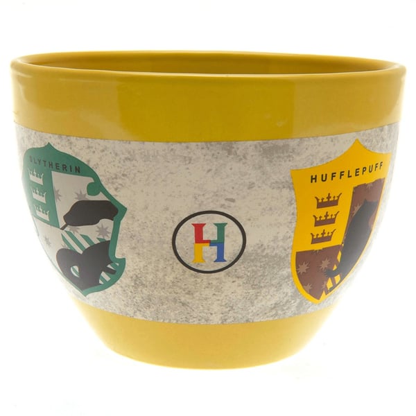 Harry Potter Hogwarts-huse håndleløst krus