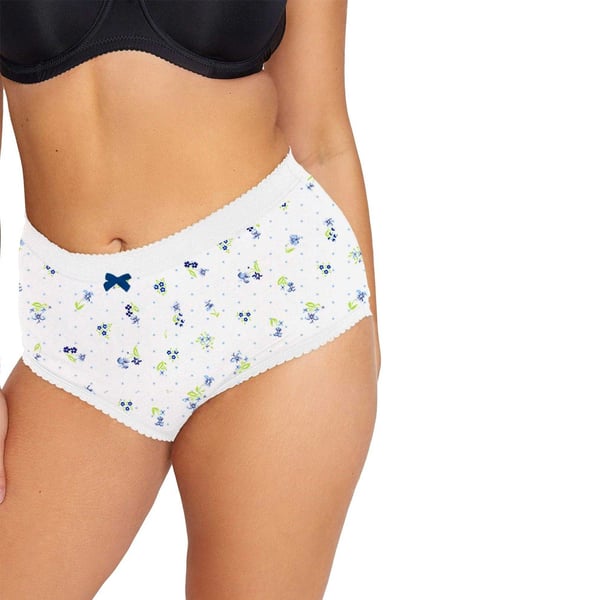 Harte & Soul Womens/Ladies Floral Briefs (Pack of 6)