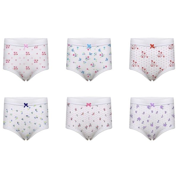 Harte & Soul Womens/Ladies Floral Briefs (Pack of 6)