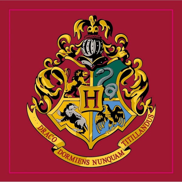 Harry Potter Tylypahkan matto