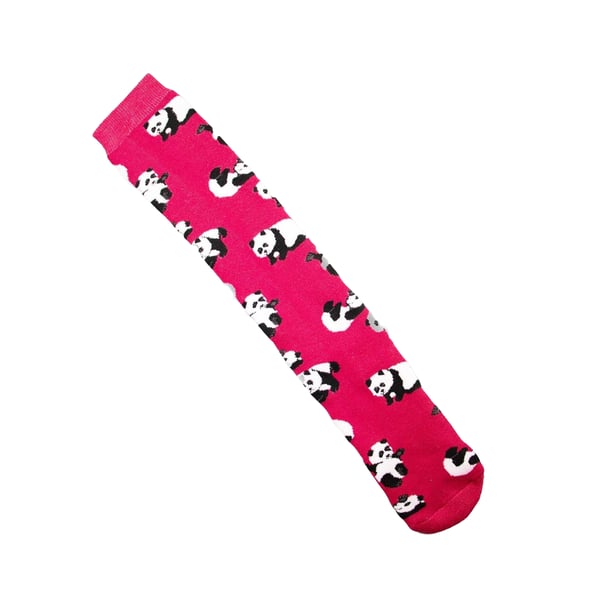 Soxy Womens/Ladies Assorted Designs Socks (Pack of 5)