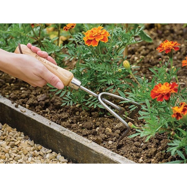 Kent & Stowe Hand 3-prong Cultivator, Fsc