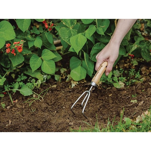 Kent & Stowe Hand 3-prong Cultivator, Fsc