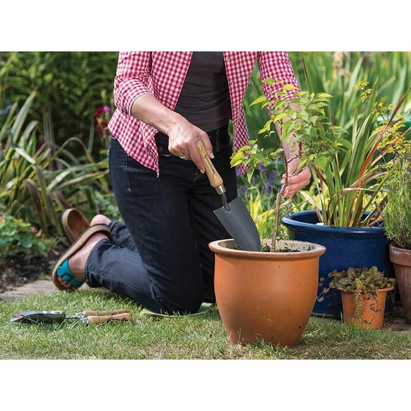 Kent & Stowe Handspade, FSC