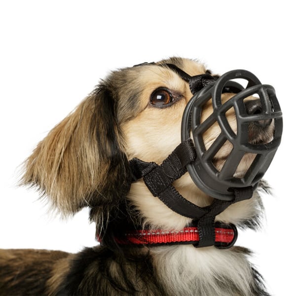 Baskerville Ultra Dog Muzzle Baskerville Ultra Dog Muzzle