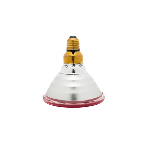 Curalux Infraröd PAR 38 Lampa