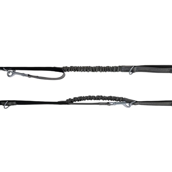 Halti Anatomy Dog Lead