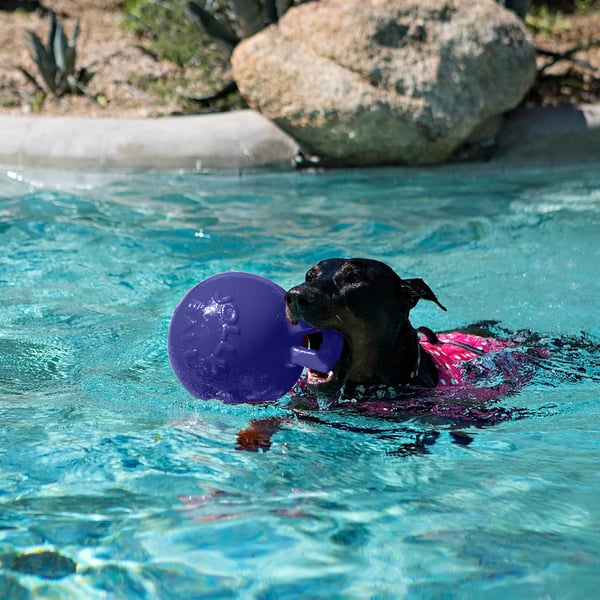 Jolly Pets Tug-n-Toss hundelegetøj