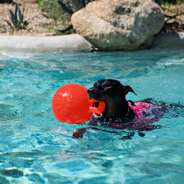 Jolly Pets Tug-N-Toss -koiranlelu