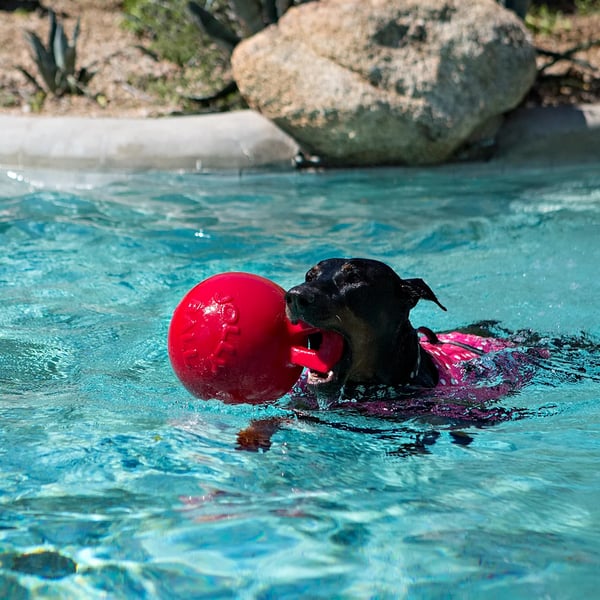 Jolly Pets Tug-N-Toss -koiranlelu