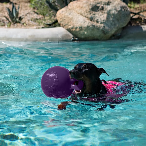 Jolly Pets Tug-N-Toss -koiranlelu