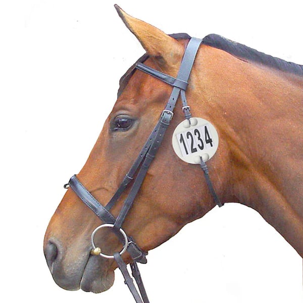 Equidisc 4 Numbers Horse Bridle Numbers