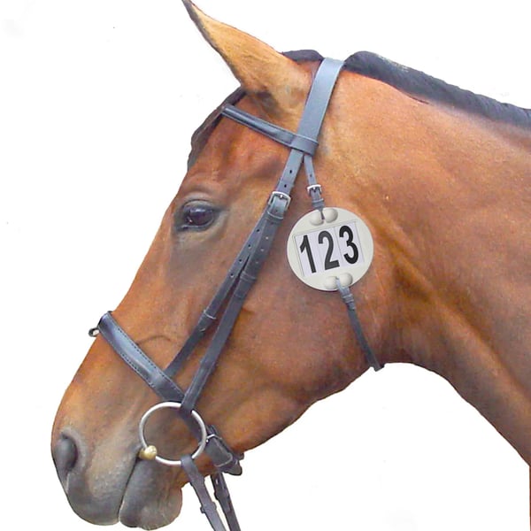 Equidisc 3 Numbers Horse Dressage Number Holder
