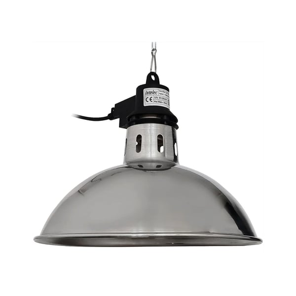 Intelec Traditional Infra-Red Lamp