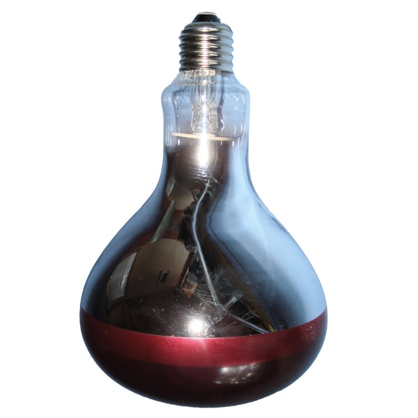 Intelec Hard Glass Infra-Red Heat Bulb