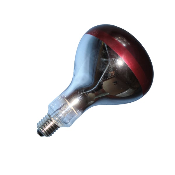 Intelec Hard Glass Infra-Red Heat Bulb