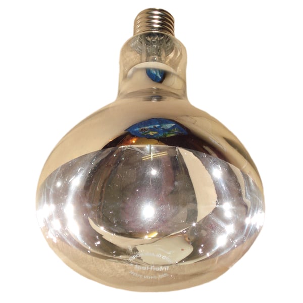 Intelec Hard Glass Infra-Red Heat Bulb