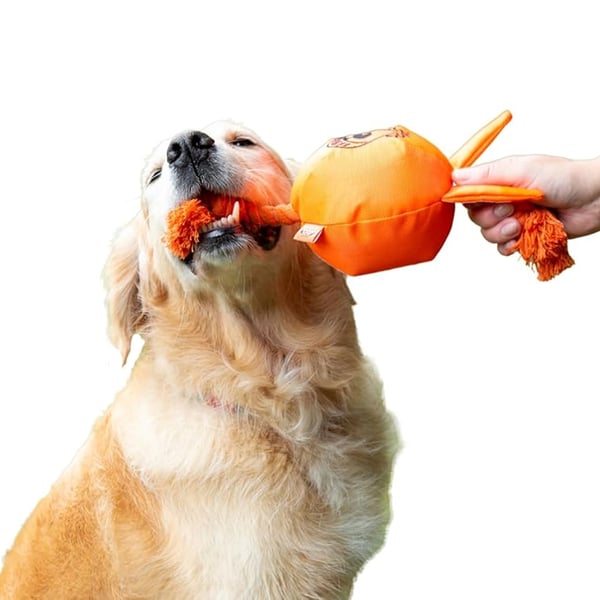 Good Boy Tug Space Lobber -koiranlelu
