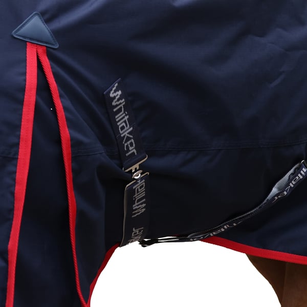 Whitaker Rastrick V2 Standard-Neck Contrast Detail Horse Turnout Rug