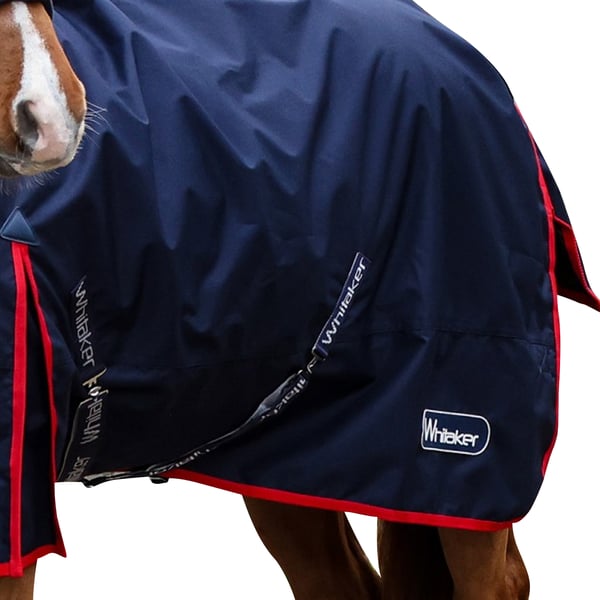 Whitaker Rastrick V2 Standard-Neck Contrast Detail Horse Turnout Rug
