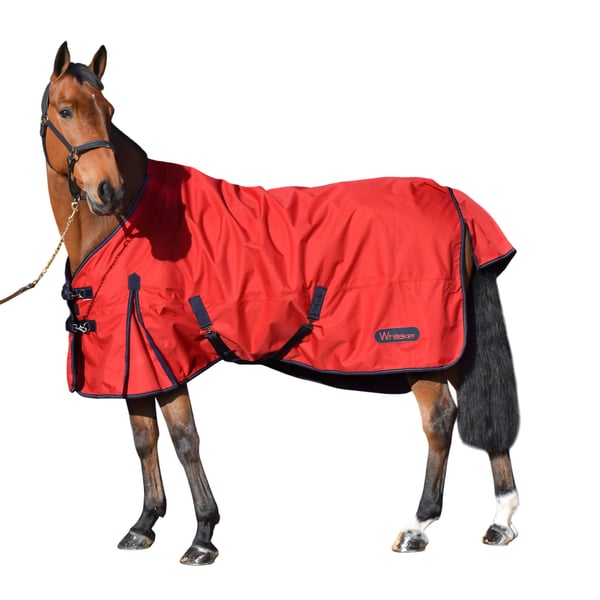 Whitaker Standard-Neck Lightweight Horse Turnout Rug