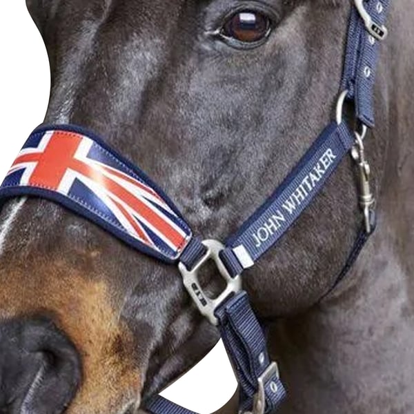 Whitaker Union Jack Vadderad Hästgrimma