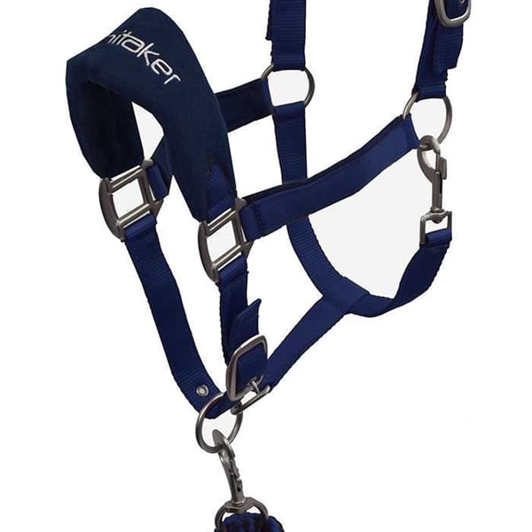 Whitaker Club Horse Headcollar and Leadrope