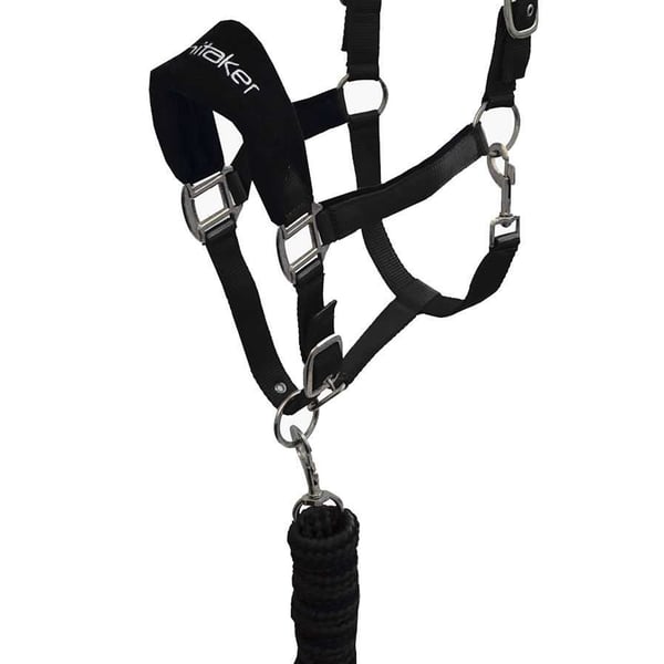 Whitaker Club Horse Headcollar and Leadrope