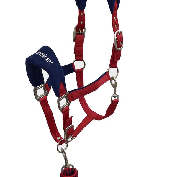 Whitaker Club Horse Headcollar and Leadrope