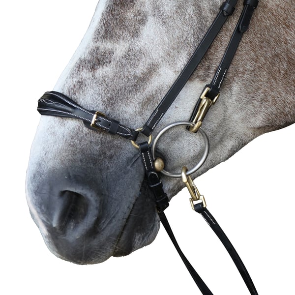 Whitaker Pick n Mix Leather Horse Drop Noseband