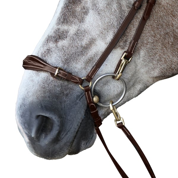 Whitaker Pick n Mix Leather Horse Drop Noseband