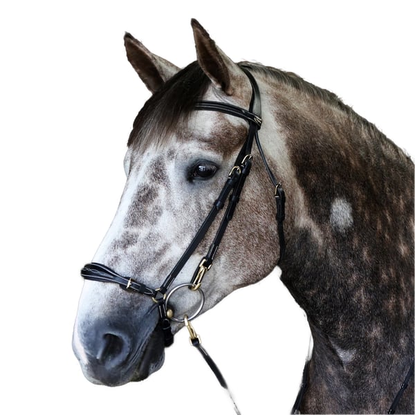 Whitaker Leather Horse Combination Noseband