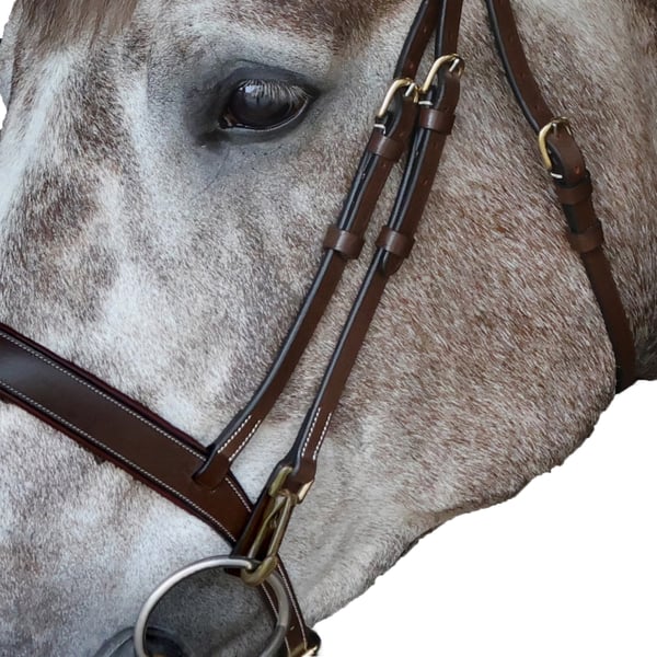 Whitaker Leather Horse Combination Noseband