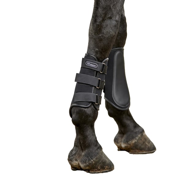 Whitaker Bradford Leather Pad Horse Brushing Boots (Pack of 2)
