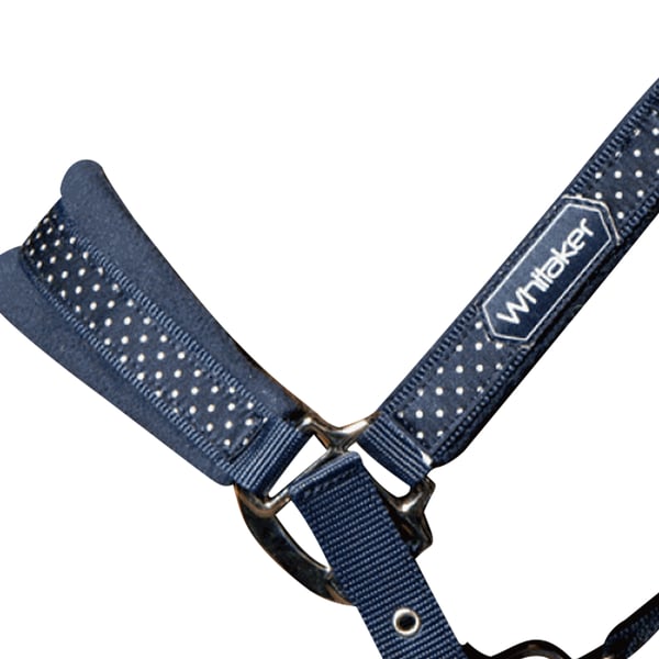 Whitaker San Francisco Horse Headcollar