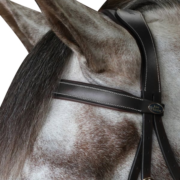 John Whitaker Pick N Mix Leather Flat Horse Browband