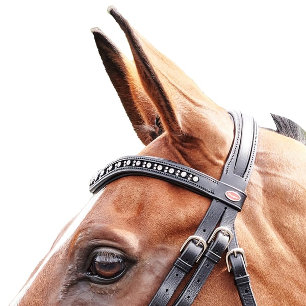 Whitaker Lynton Leather Horse Flash Bridle