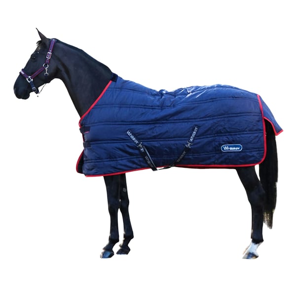 Whitaker Rastrick V2 Standard-Neck 100g Horse Show Rug