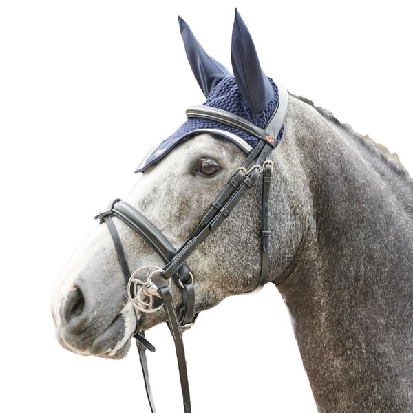 Whitaker Eastwood Crank Leather Horse Bridle With Reins