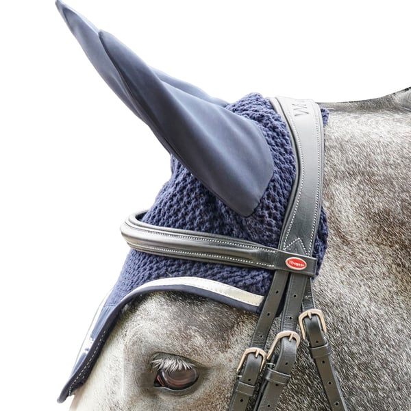 Whitaker Eastwood Crank Leather Horse Bridle With Reins