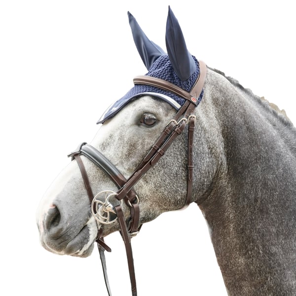 Whitaker Eastwood Crank Leather Horse Bridle With Reins