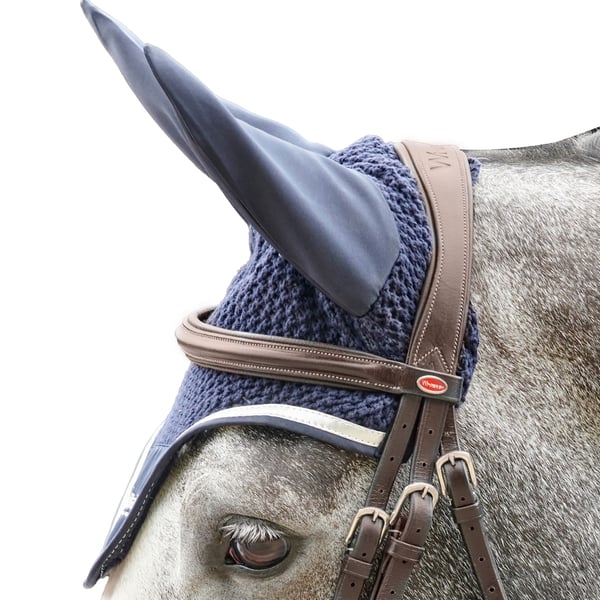 Whitaker Eastwood Crank Leather Horse Bridle With Reins