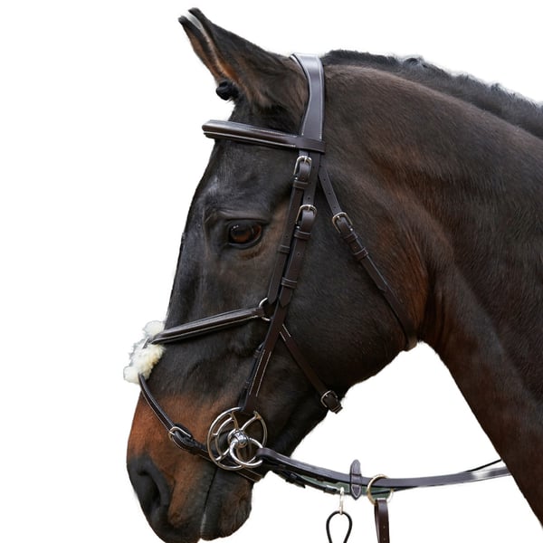 Whitaker Eastwood Mexican Leather Horse Bridle With Reins