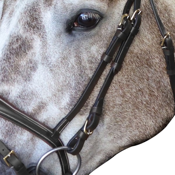 John Whitaker Pick N Mix Leather Buckle Horse Cheekpiece