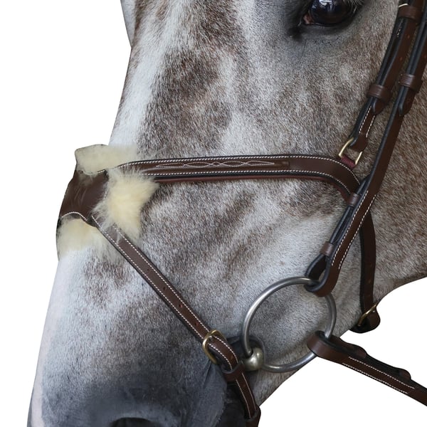 John Whitaker Pick N Mix Leather Horse Grackle Noseband