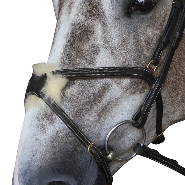 John Whitaker Pick N Mix Leather Horse Grackle Noseband