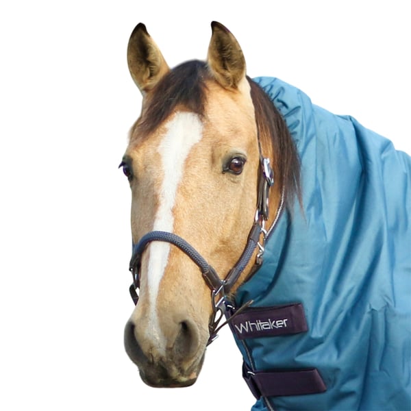 Whitaker Raywell Leather Soft Horse Rope Headcollar