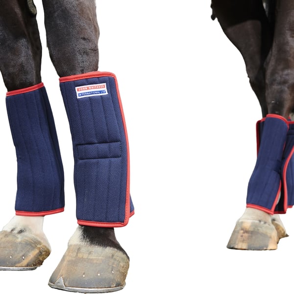 Whitaker Horse Wraps (Pack of 4)