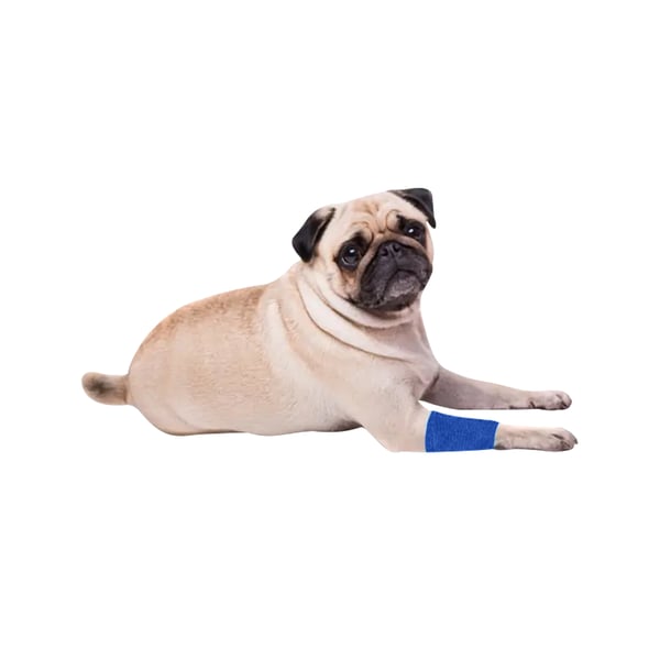 EquiMed Vetwrap Cohesive Bandages